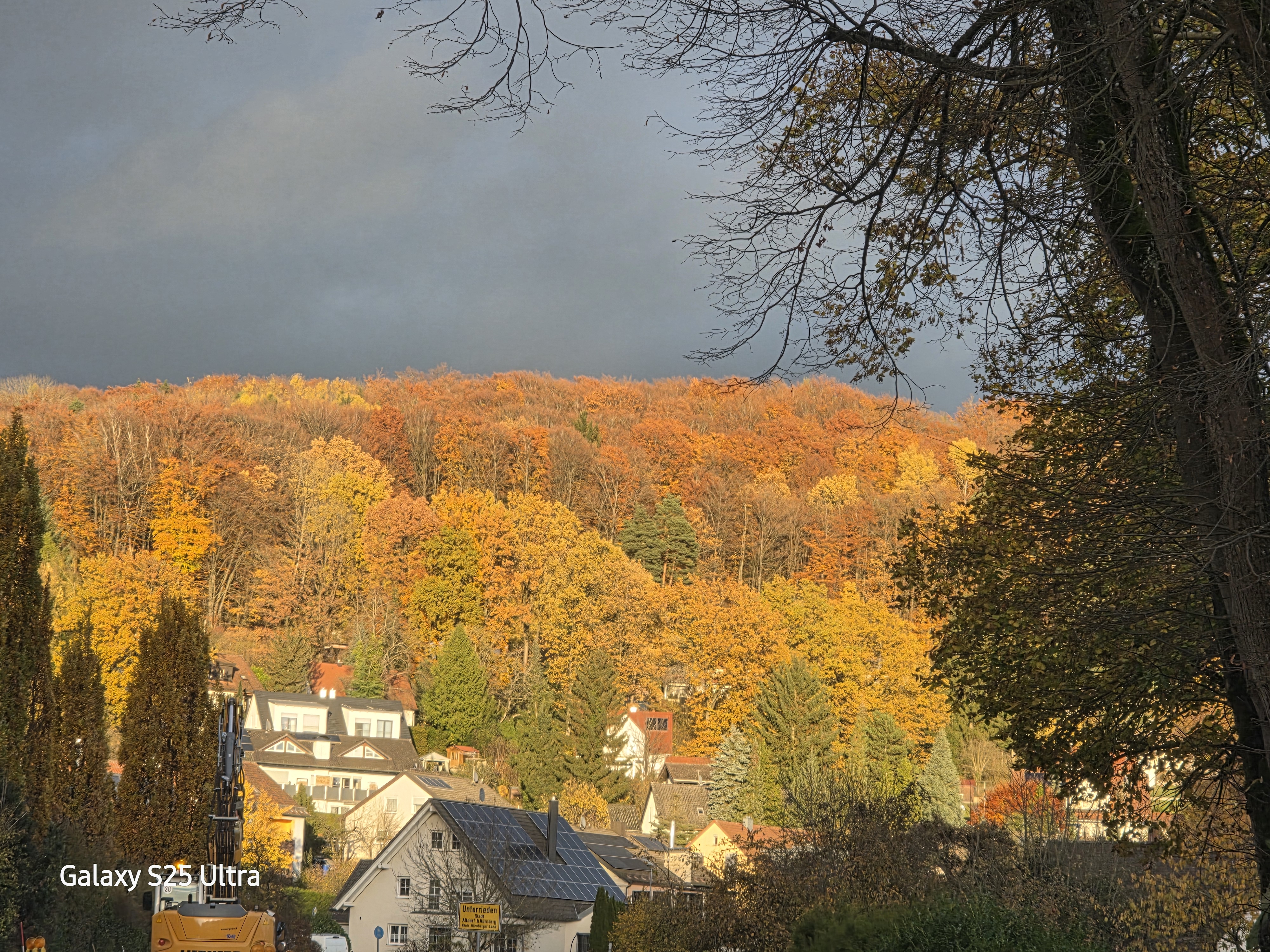 Wald, an einem sonnigen Herbsttag